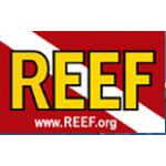 Reef Promo Codes